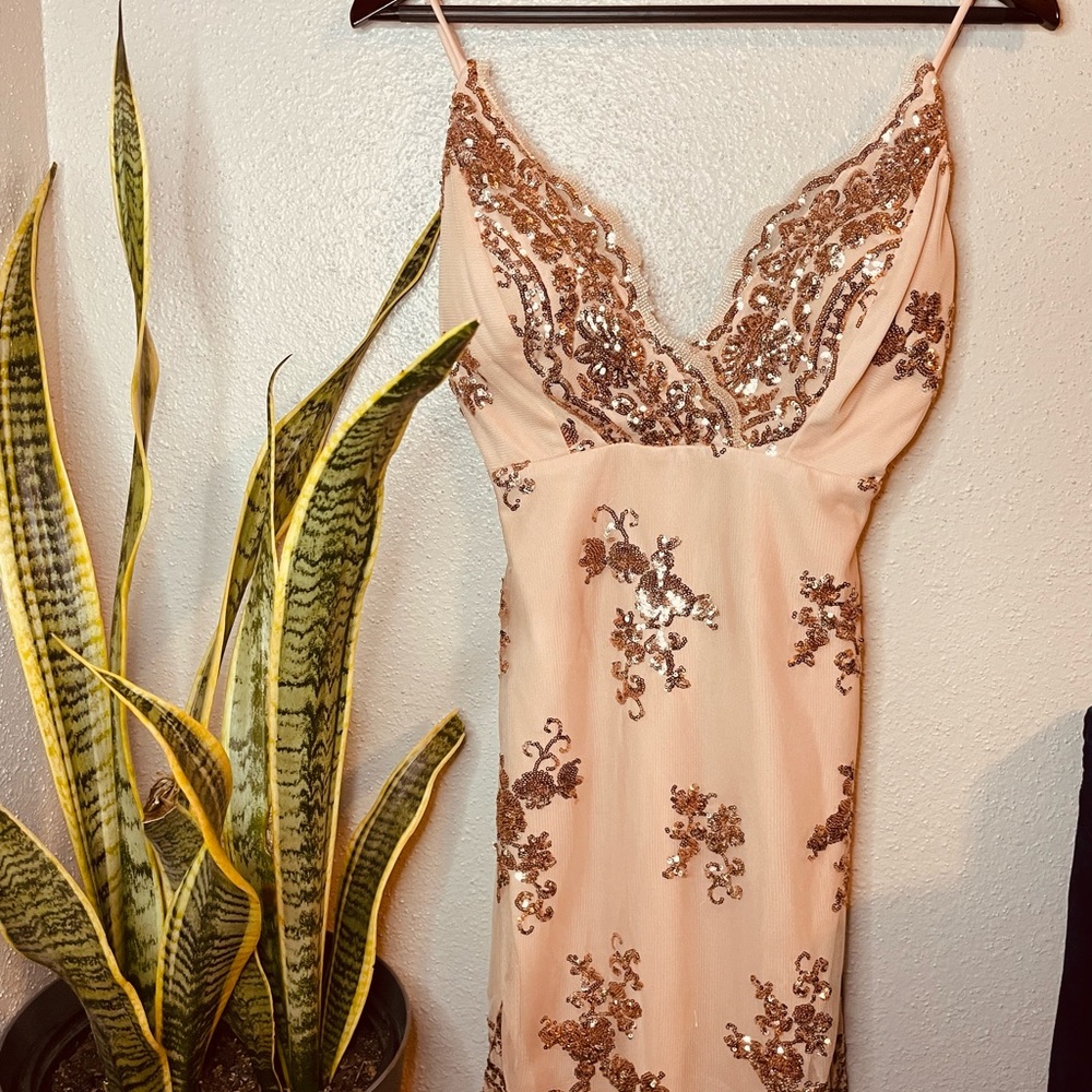 Rose Sequins Dress